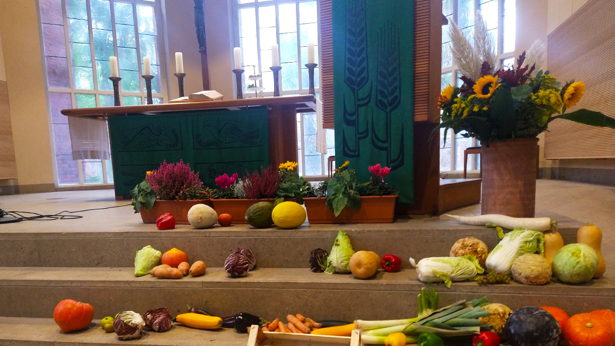 Auf den Stufen vor dem Altar liegt unterschiedliches Gemüse, Blumen stehen in Vasen und Blumentöpfen. Die Tücher an Altar und Lesepult sind grün, darauf sind Ähren abgebildet.